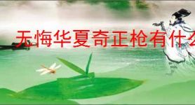 无悔华夏奇正枪有什么技能,无悔华夏奇正枪怎么样