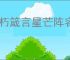 不朽箴言星芒阵容怎么玩,不朽箴言星芒阵营搭配推荐