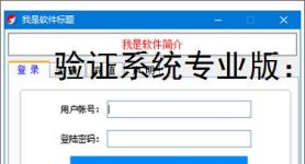 验证系统专业版：企业级安全认证解决方案