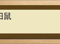 田鼠