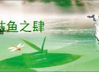 枯鱼之肆