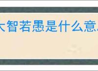 大智若愚是什么意思的意思