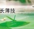片长薄技