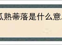 瓜熟蒂落是什么意思