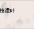 加枝添叶