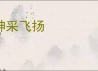神采飞扬