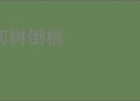 切树倒根