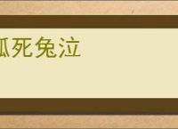 狐死兔泣