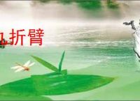 九折臂