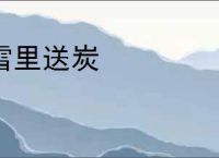 雪里送炭