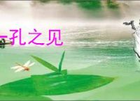 一孔之见