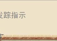 发踪指示