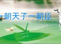 一朝天子一朝臣