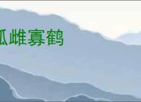 孤雌寡鹤