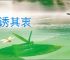 天诱其衷