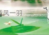 威凤一羽