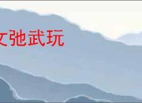文弛武玩