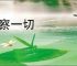 洞察一切