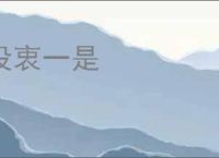 没衷一是