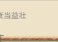 衰当益壮