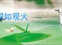 洞如观火