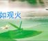 洞如观火