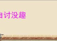自讨没趣