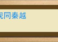 视同秦越