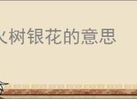 火树银花的意思