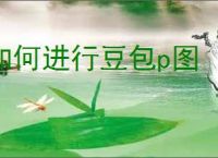 如何进行豆包p图