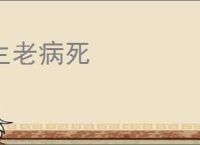 生老病死