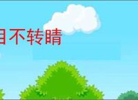 目不转睛