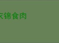 衣锦食肉