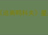 《逃离鸭科夫》星星眼捏脸代码分享