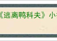 《逃离鸭科夫》小扩容箱使用介绍