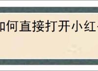 如何直接打开小红书网页版入口