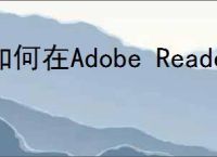如何在Adobe Reader XI中设置双面打印