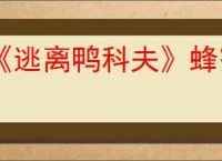 《逃离鸭科夫》蜂蜜刷新位置介绍