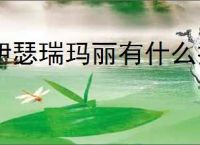 伊瑟瑞玛丽有什么技能,伊瑟瑞玛丽玩法机制分享