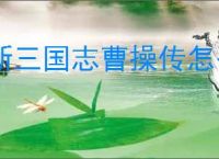新三国志曹操传怎么过魔王封印5,新三国志曹操传魔王封印5打法