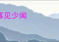 寡见少闻
