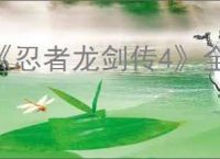 《忍者龙剑传4》全人物图鉴