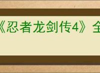 《忍者龙剑传4》全武器出招表
