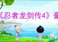 《忍者龙剑传4》豪华版购买建议