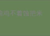 偷鸡不着蚀把米