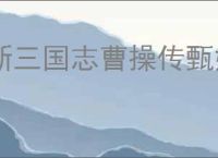 新三国志曹操传甄姬怎么玩,新三国志曹操传甄姬搭配推荐