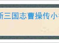 新三国志曹操传小乔怎么玩,新三国志曹操传小乔搭配推荐