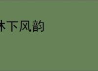 林下风韵