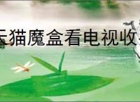天猫魔盒看电视收费吗