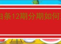 白条12期分期如何取消？取消步骤及注意事项